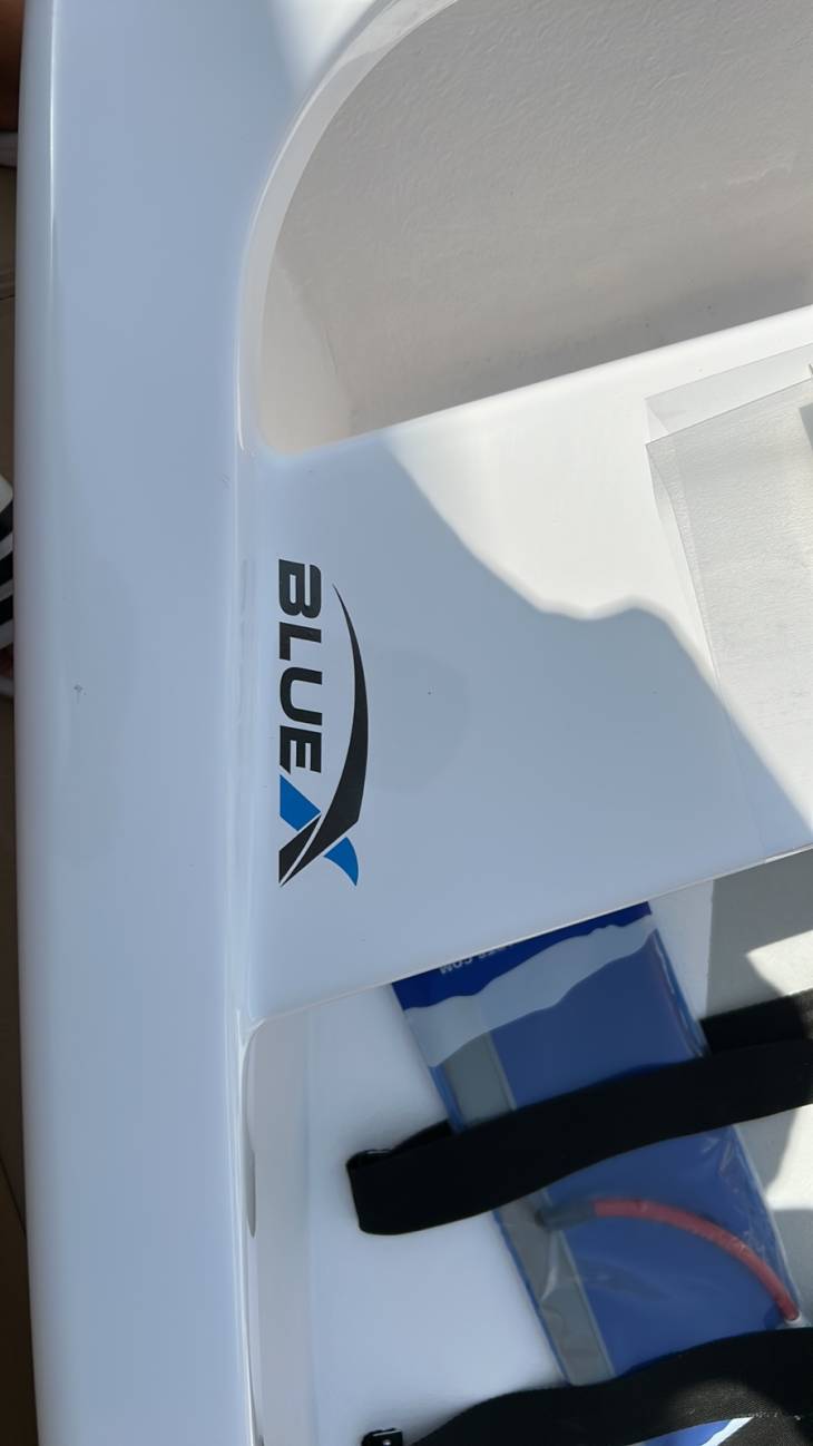 BlueX - Image 5